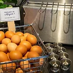 Ibis Purpan Aeroport 3* トゥールーズ
