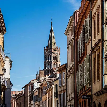 Ibis Purpan Aeroport 3* トゥールーズ