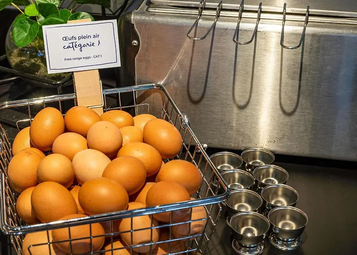 Ibis Purpan Aeroport 3* トゥールーズ