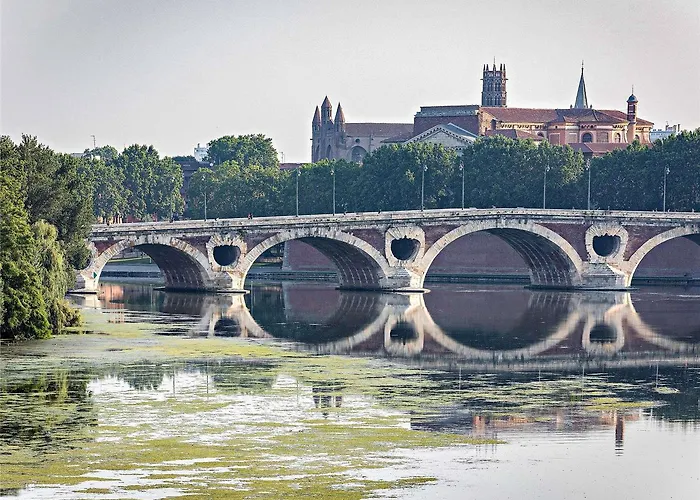 Ibis Purpan Aeroport ホテル トゥールーズ